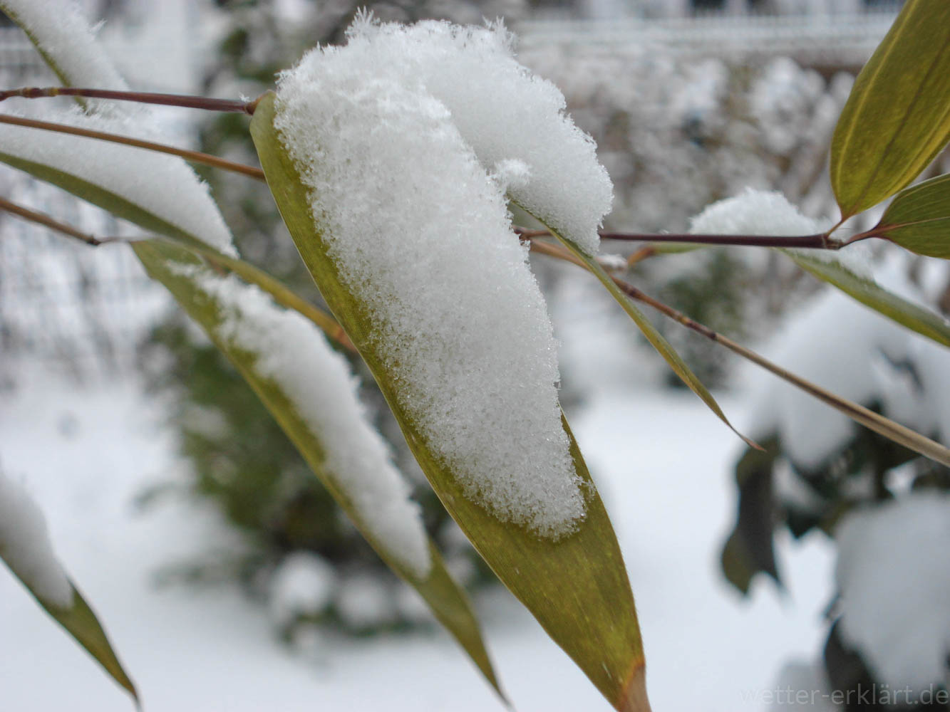 Warum Ist Es Bei Schnee So Still Wetter Wissen